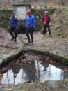 Prosba lesa v ��cmanick�m arboretu